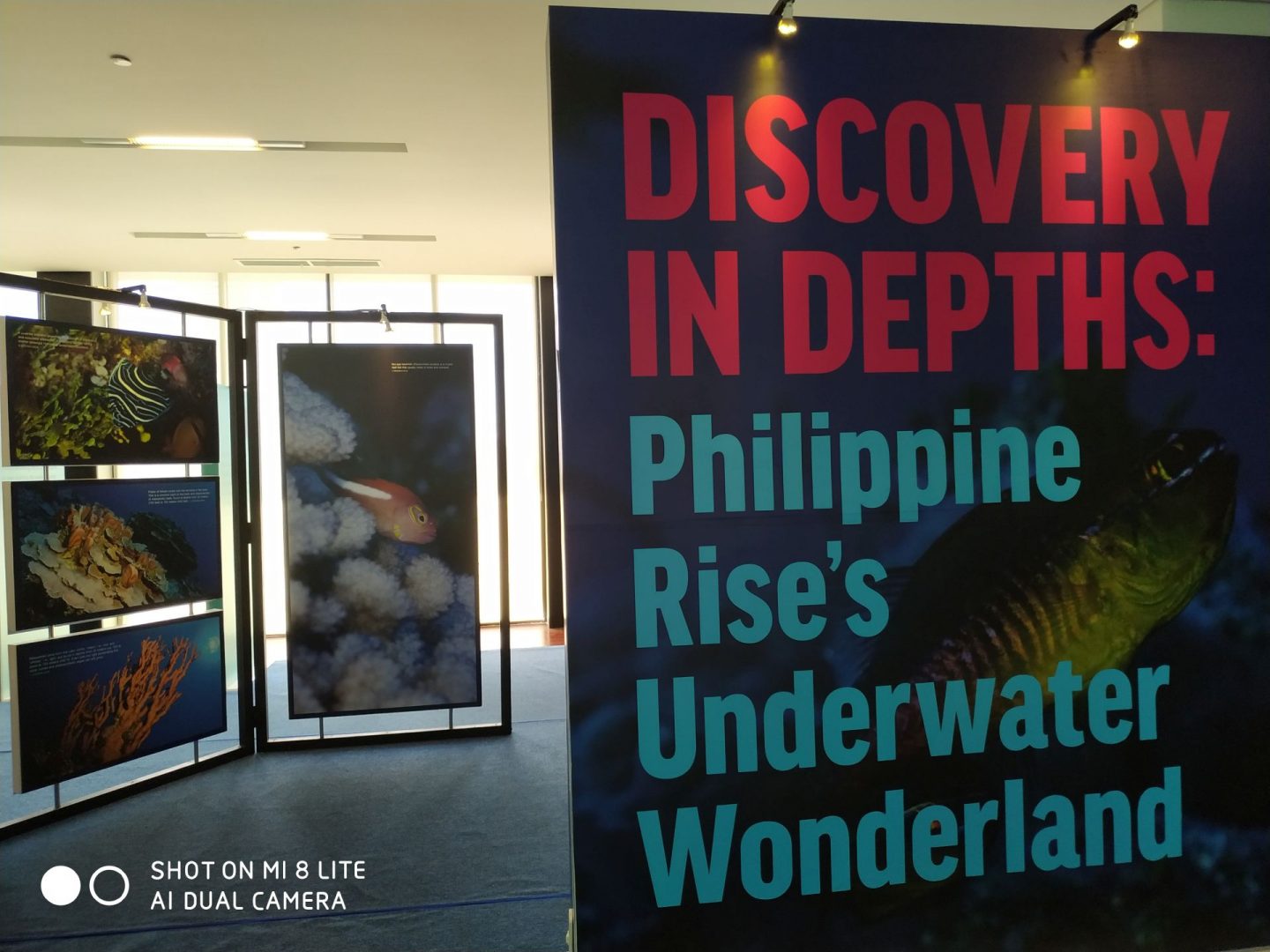 National Museum exhibit dives deep into the Philippine Rise