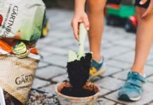 Sunday Inspiration – Projects to Tackle Before the Weekend Ends